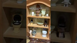 Making a ✨toilet shelf✨ #weird #trinkets
