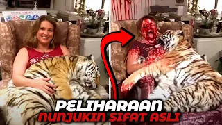 Berniat Melihara Hewan Liar Namun Endingnya si Majikan Malah Berujung Dilahap..