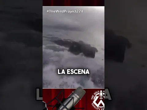 Jordi Wild reacciona al ALUCINANTE vídeo de unos marines entrando a un submarino en pleno océano