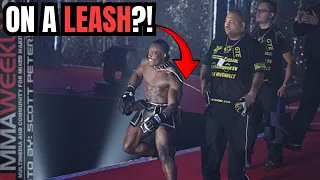 The Mini Tyson Who Hits Like Mike — Brutal MMA Knockouts