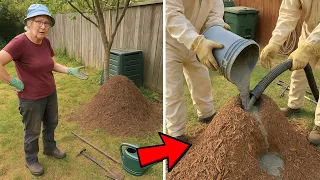[Full Story] She Thought it Was a Normal Ants’ Nest, Until Experts Told Her the Truth...