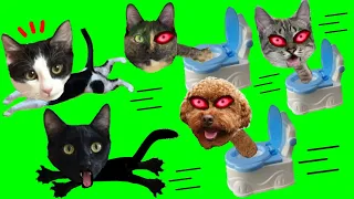 SKIBIDI TOILET PERO SON ANIMALES en la casa misteriosa de Luna y Estrella / Videos de Skibidi Toilet