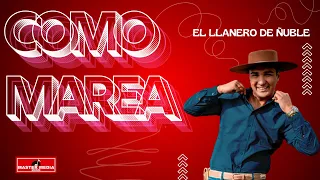 El Llanero de Ñuble - Como Marea (Video Oficial) 🤠🤠