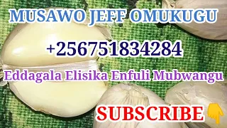 SIKA ENFULI BWOTI - EDDAGALA ELISIKA ENFULI