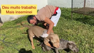 Vai vim neném , so os platinado loco do bkb