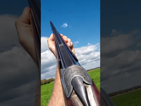 Hunting 2 Crows with a Shotgun and Dachshund Hubi