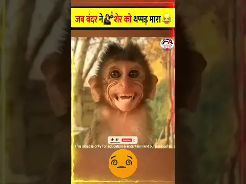 🙉 बंदर ने शेर को थप्पड़ क्यों मारा 😂 | why monkey slapped the lion 🤯🖐👇👇 #shorts #shortvideo #viral