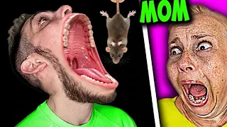 🤣👌👌 2026 pov Must-Watch Crazy Clips Compilation #humor 