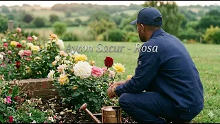 Ayton Sacur - Rosa