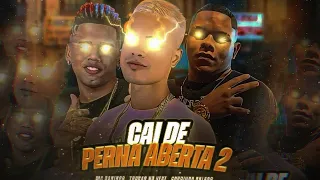 TROVÃO NO BEAT, GORDINHO BOLADO, MC DANINHO - CAI DE PERNA ABERTA 2