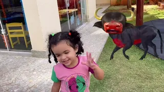 BOI DA CARA PRETA só as melhores | música infantil - Compilação