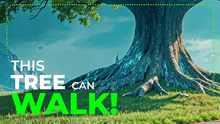 How Does a Tree Walk? Discover the Secret!
