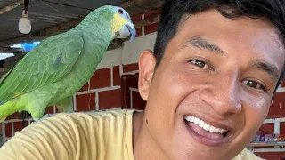 Viaja conmigo el cholopo está en vivo
