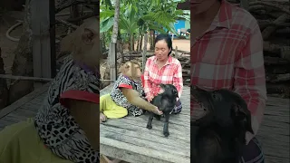 Best SokYaa,OG, Pao & Mom Are Famous Around The World #shorts