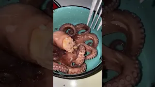 Hice un pulpo a las brasas 🐙