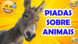 PIADAS SOBRE ANIMAIS MUITO ENGRAÇADAS - HUMORISTA THIAGO DIAS