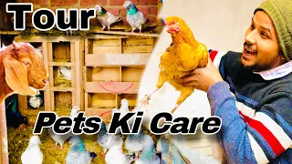 Pets Ki Care and Tour || आज सब pets दिखा दिए 😳 #pigeon #kabootar #reaction #viralvideo #pets
