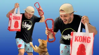 Let’s See Who The Strongest Dogs Are At Dog Daycare Today!