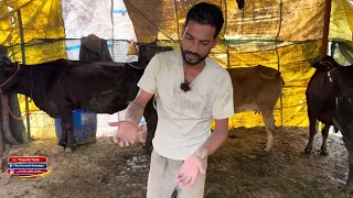 Jaise jaise ye channel grow karega hum log or jgha bhi shelter open krenge 🙏🏻😊#bholenath #cow #farm