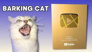 Barking Cat Hits 1 Million Subs!