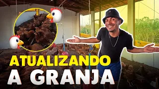 3 MESES DE GRANJA