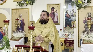 Мост между Небом и нами: сила святого Николая