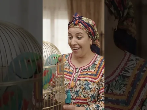 الببغاء المسوفج...🤣🤣✨️ #ضحك #الجزائر #كوميديا #جزائري #ريلز #algeria #ترند #funny #algerian