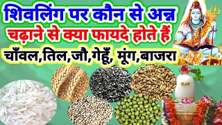 शिवलिंग पर कौन से अन्न चढ़ाने से क्या फायदे होते हैं,धन,सन्तान,ऐश्वर्य, सुख,शान्ति,समृद्धि,पद,रोजगार