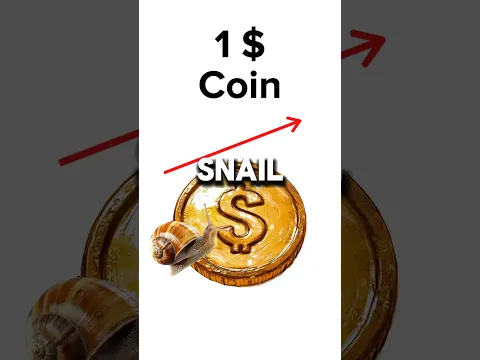 Snail 🐌 Crossing $1 Coin 🪙 VS Cheetah 🐆 Crossing Football Field 🏈