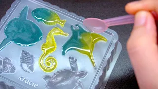 바다 도감 젤리 Sea Creatures shaped DIY candy kit [ASMR]