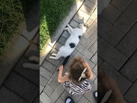 Toddler 🆚 cat tail #cute #toddtuber #shorts