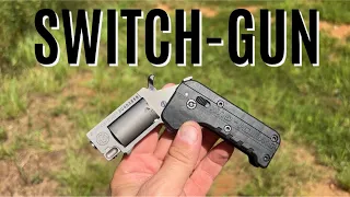 SWITCH GUN the Coolest 22 MAG EVER