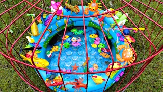 Wow Seru Memancing Ikan Hias Dalam Kurungan, Kura Kura Asli, Bebek, Angsa, Ikan Lele, Buaya, Part210