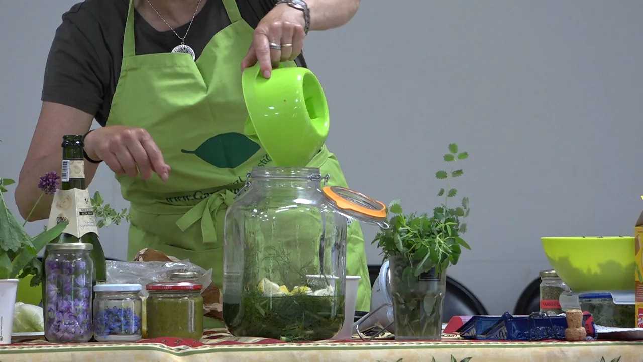 La Fira d’Herbes Remeieres es reinventa amb la nova Fira de Sau