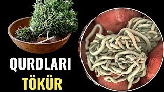 Bağırsaq qurdlarını bir saata tökür - Qaynadıb suyunu....