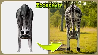 Zoonomaly - Game VS Real Life | All Character Comparison