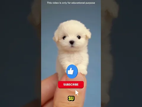 Cortó el hilo sin pensar… y descubrió algo increíble 😨