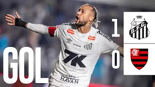 SANTOS x FLAMENGO | GOL | BRASILEIRÃO (16/07/25)