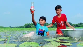 Best Unique Fish Trap | Village Hook Catching Fish By Plastic Bottle Trap | Hunting Fish Trap