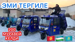 ЭЛЕКТРО Муравейлер КЕЛДИ ~ 200 ДАНА ~ МЫНДАЙ БОЛГОН ЭМЕС