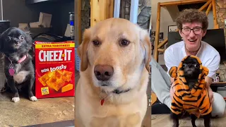 Josh Puddin and Dozer 2022 Tiktok Compilation￼!!