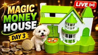 Coin Watch the Puppy Steal the Coins! 😍  House Mystery! Tiny  Puppy Steal the Coins! || Day 3😍 LIVE