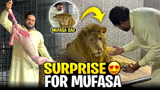 Mufasa ney mujhay pehchannay say inkar kar dia 😱5 din nahi mila 😰