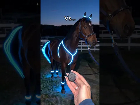 Comment "Horse" if you need this 😍🐴#equestrian #gallop #horse #usa