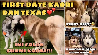 AKHIRNYA KAORI KETEMU SAMA CALON SUAMINYA (TEXAS)‼️  @dalloscarrr [RE-EDIT]