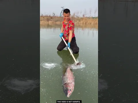 Helping Fisher Man🧑‍🌾| New Viral Gadgets, Smart Appliances, Kitchen Utensils/ Home Inventions