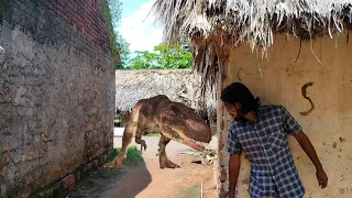 real life t rex in villages part 1 #youtube #srikanta8456 @srikanta8455