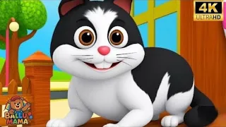 Meow Meow Billi Kerti Meow | म्याऊँ म्याऊँ बिल्ली करती म्याऊँ | Hindi Rhyme | Nursery Rhyme For Kids