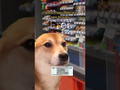 Собака перехитрила продавца🤣 #котики #мем #фрет