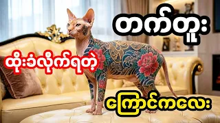 တက်တူးထိုးခံလိုက်ရတဲ့ ကြောင်ကလေး
